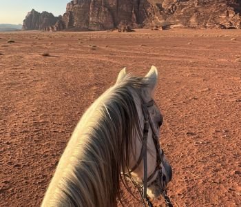 Peaceful desert morning