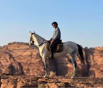 Wadi Rum horse at sunset