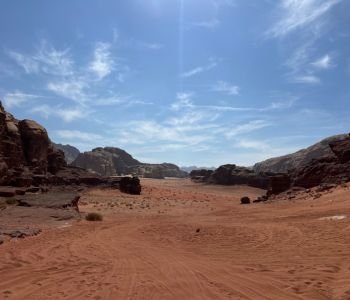 Bedouin camp and horses