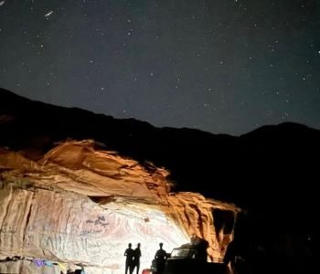 Wadi Rum horse and canyon