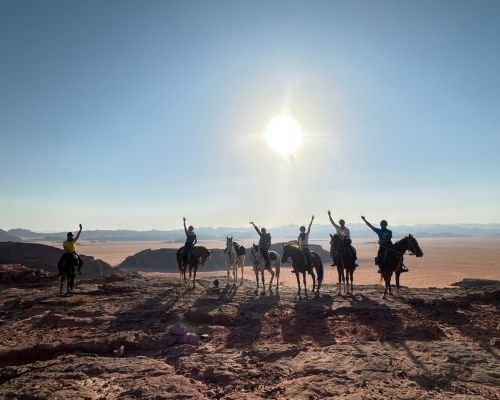 Bedouin horses in the desert