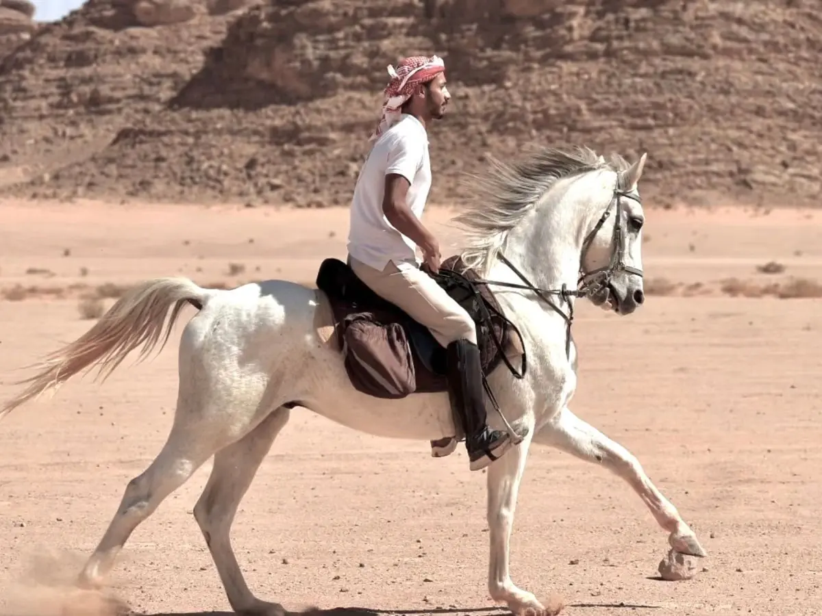 Bedouin guide leading a horseback journey in Wadi Rum