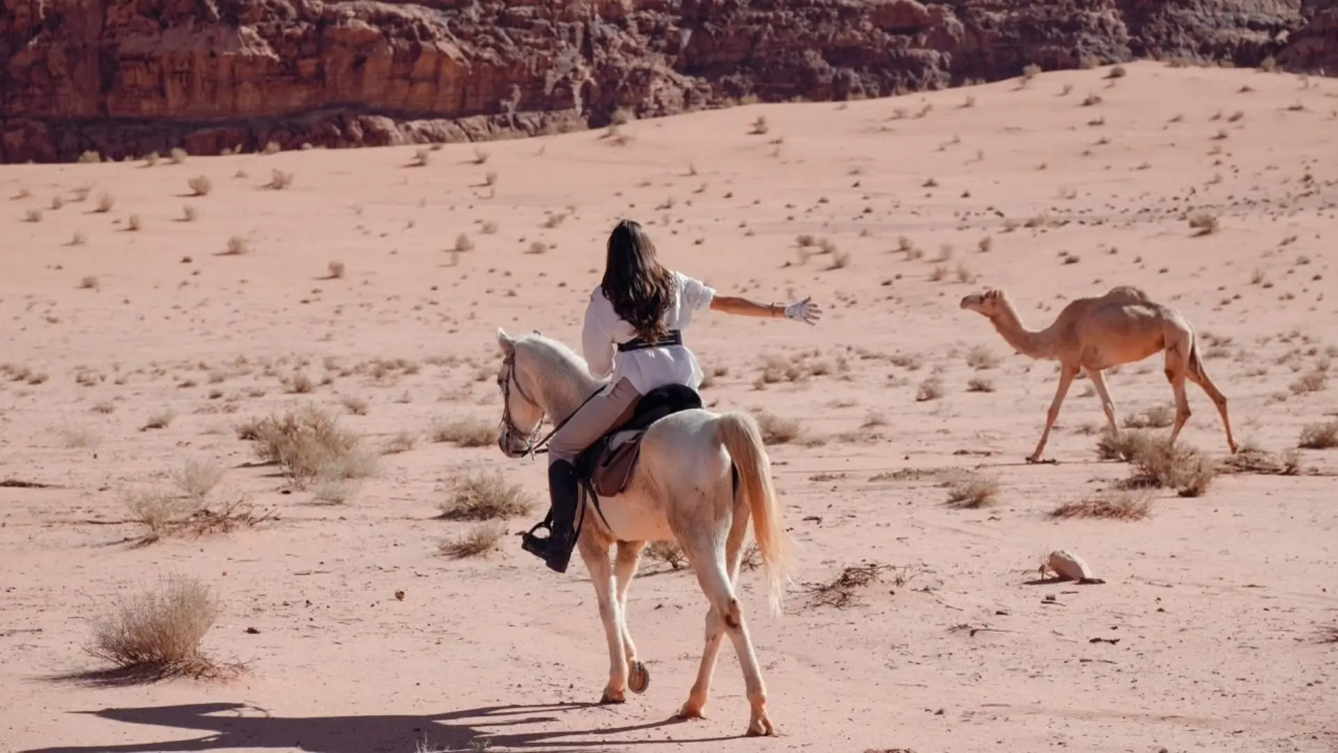 Full day horse ride through the Wadi Rum desert