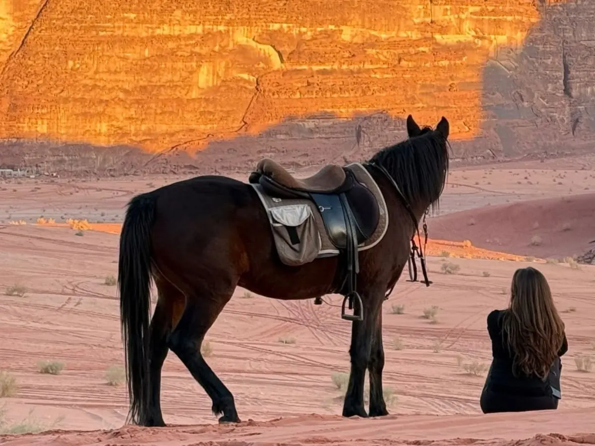 Full day horse tour through the Wadi Rum desert