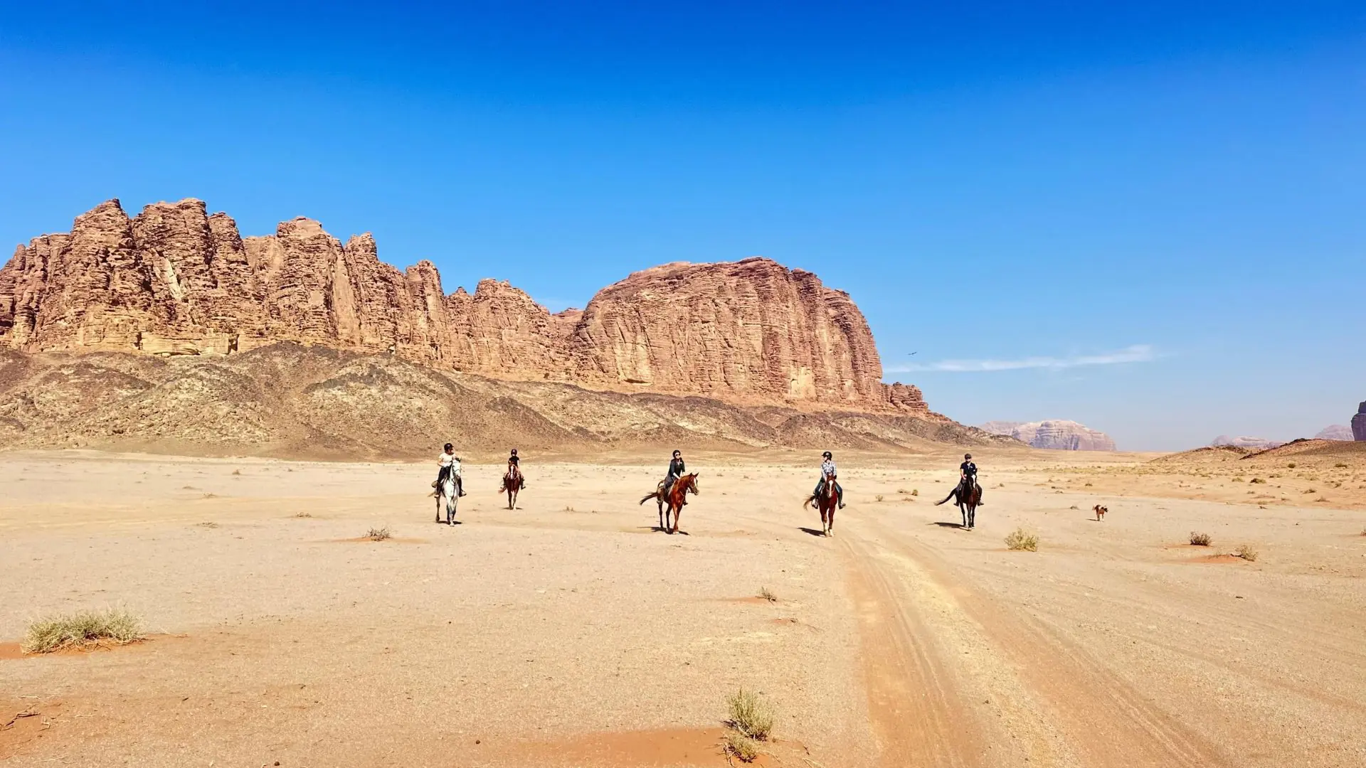 Horse riding tour through the Wadi Rum desert in Jordan
